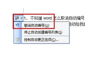 Word自动编号关闭步骤教程