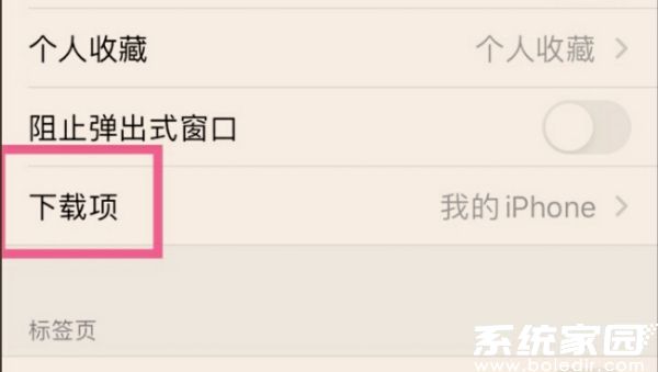 Safari下载设置界面示意图