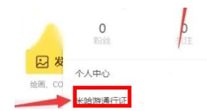 通行证管理界面示意图