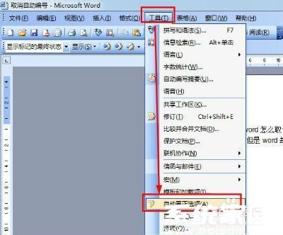 Word选项设置路径