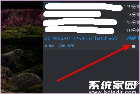 视频播放效果示意图