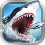 全民钓鱼无限金币钻石轻松获取v8.7.6 无限钻石版