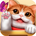 花样猫咪手游治愈系云养猫v2.5 无限金鱼版