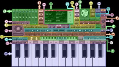 orgu7535u5b50u7434
