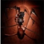 长腿蜘蛛MOD功能恐怖冒险手游v1 免费版