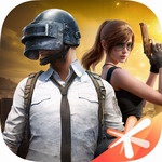 和平精英畅玩版下载安装v1.28.13 无限金币版