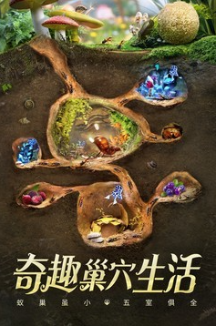 u5c0fu5c0fu8681u56fdu6700u65b0u72482025u4e0bu8f7d