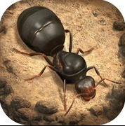 小小蚁国vivo版本周年庆开启v3.9.1 安卓版